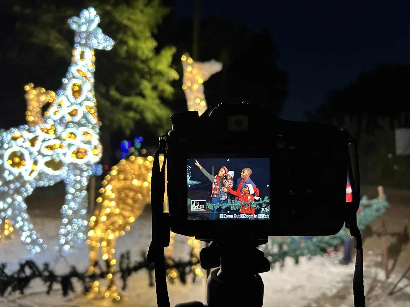 Behind-the-scenes camera view during Zoo Lights